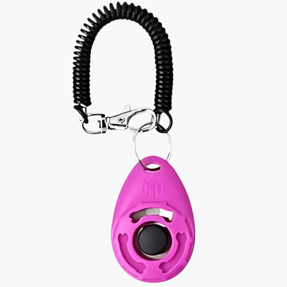 Výcvikový klikr pro psy