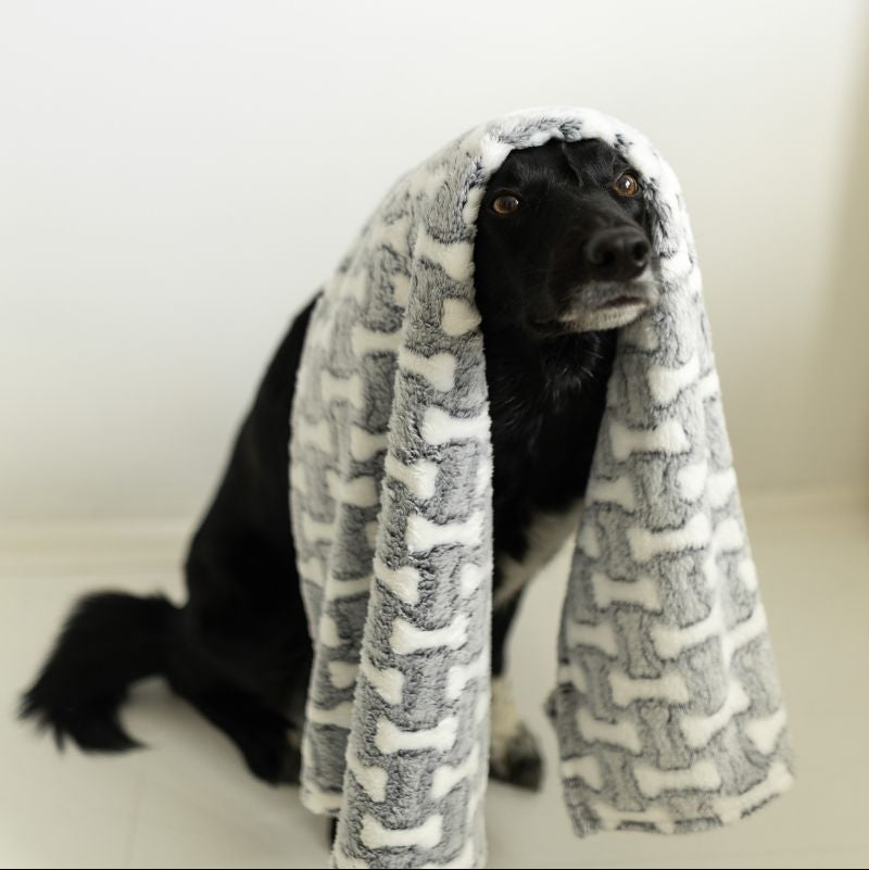 Plyšová deka pro psy