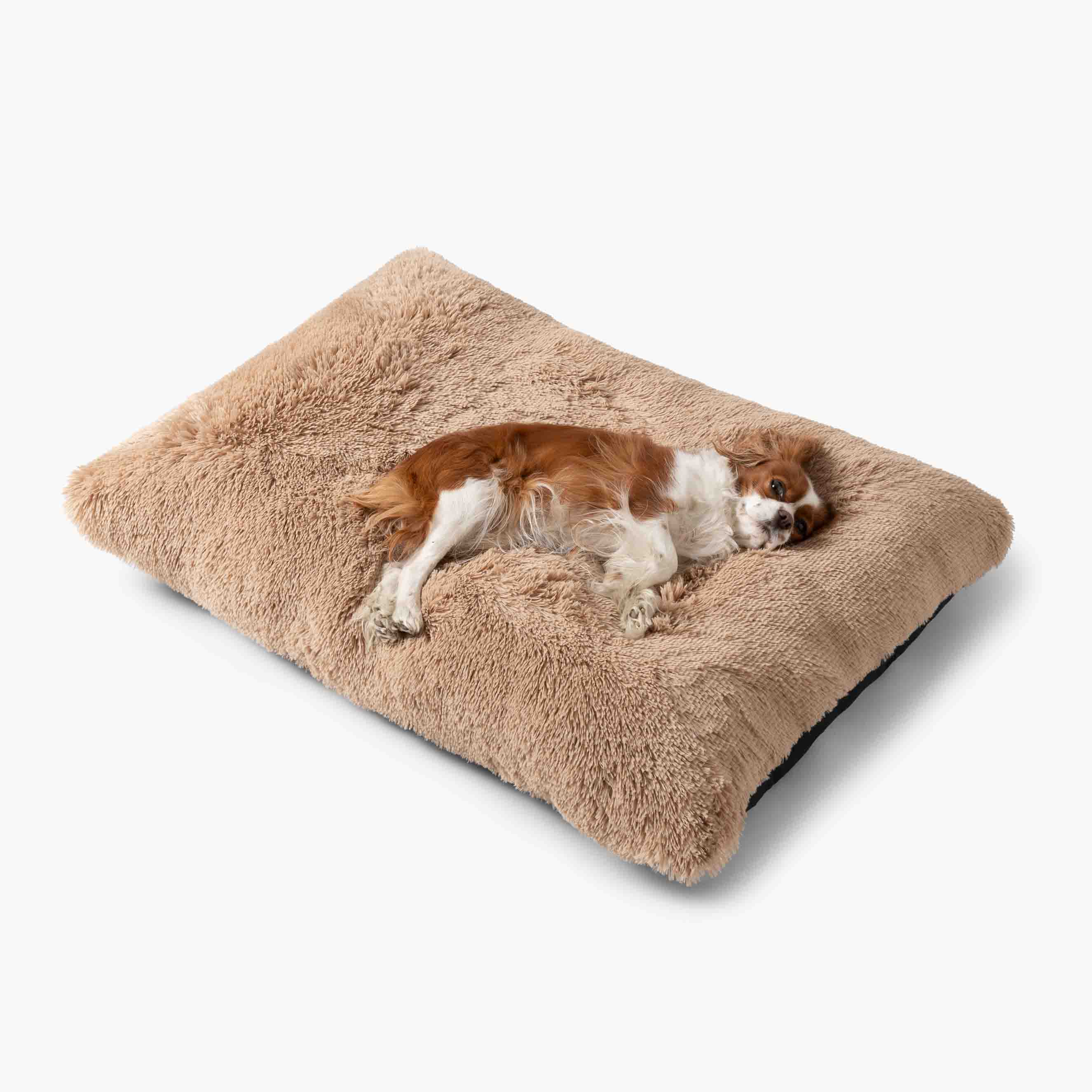 Pelech POLŠTÁŘ pro psa Světle hnědý