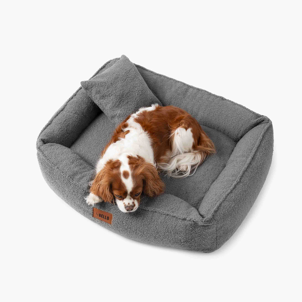 Pelíšek pro psa Royal grafitový