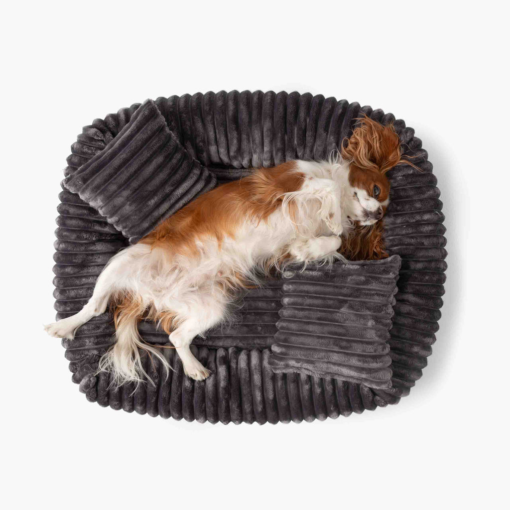 Pelíšek pro psa BELLO Antracitový