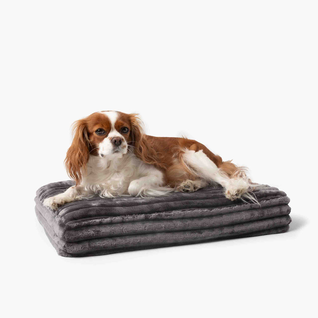 Pelíšek pro psa BELLO Antracitový