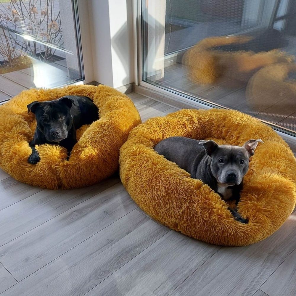 Plyšový Pelíšek pro psy Premium – Medový