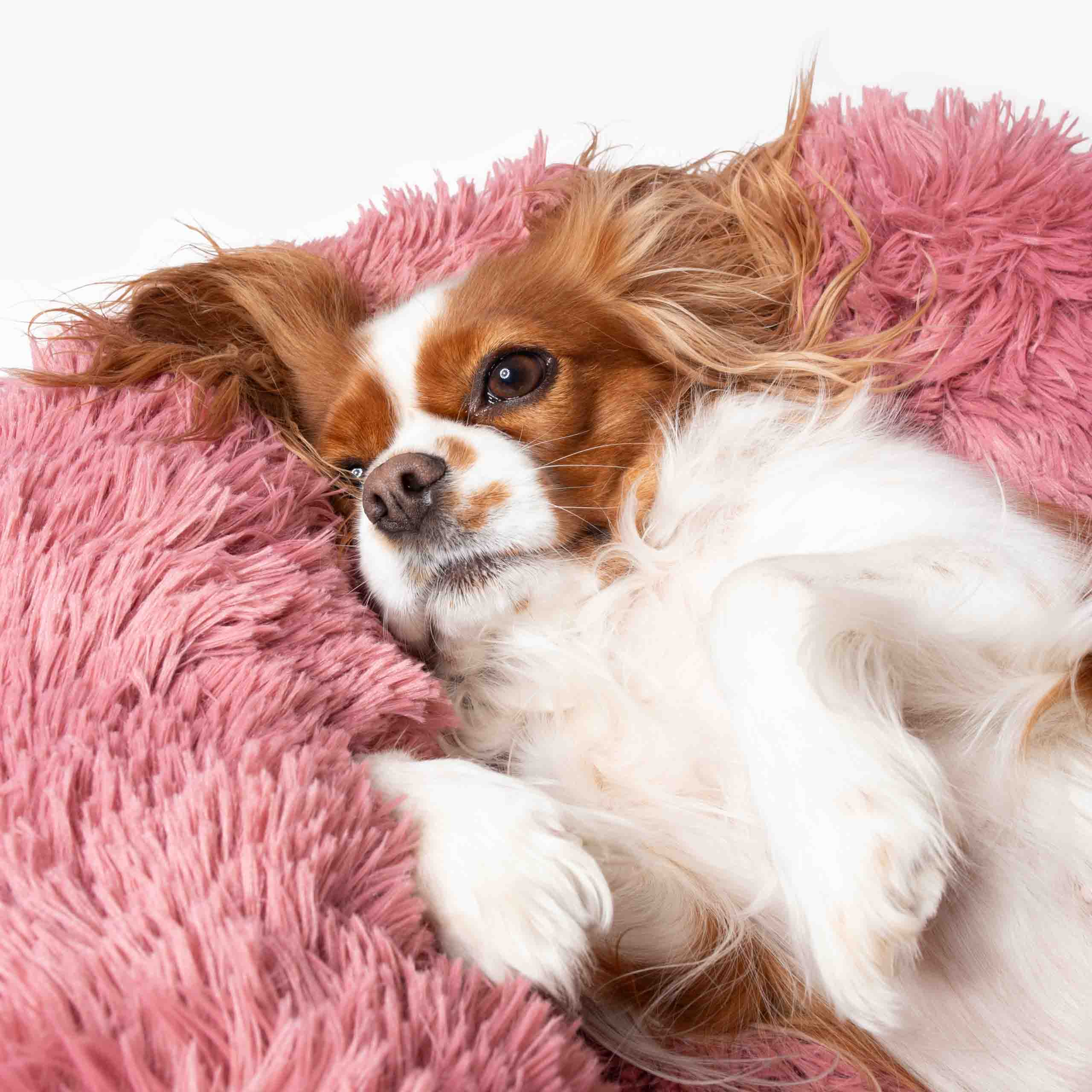 Plyšový Pelíšek pro psy Premium - Růžový