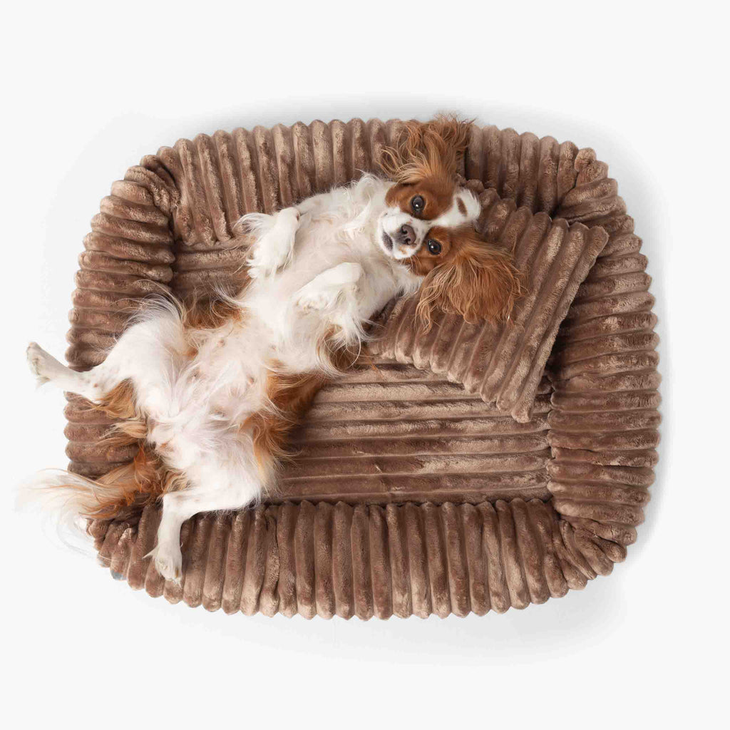 Pelíšek pro psa BELLO světle hnědá