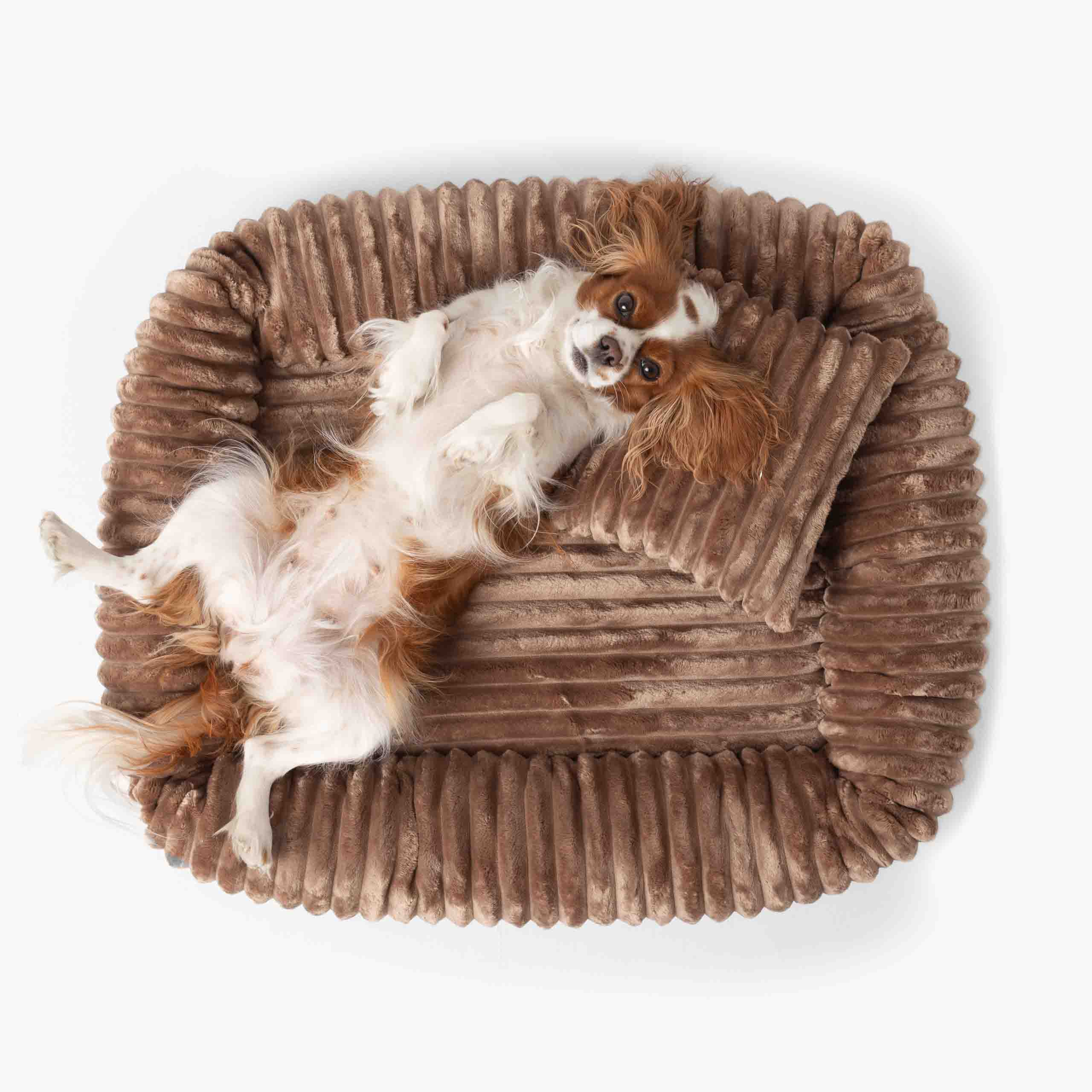 Pelíšek pro psa BELLO světle hnědá