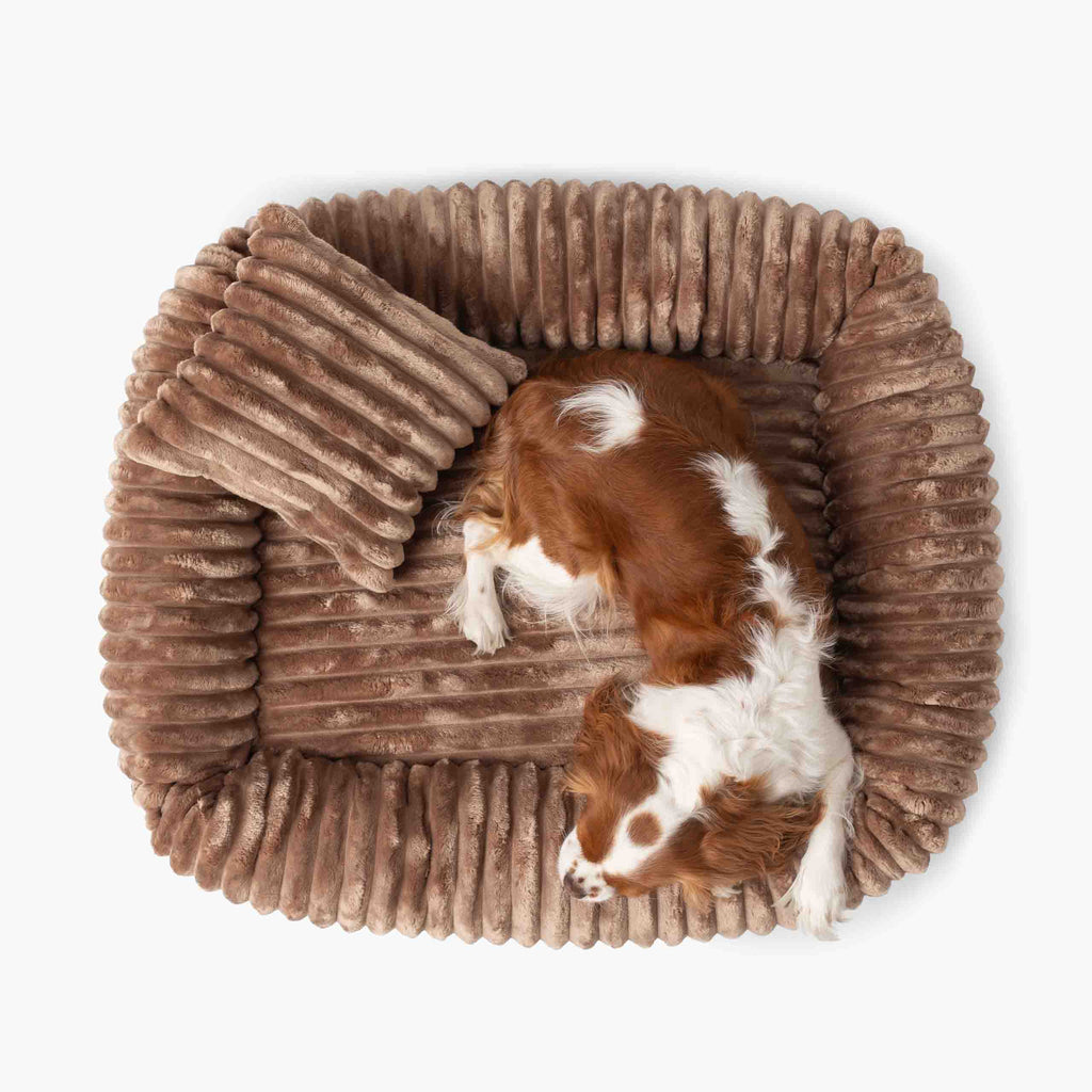 Pelíšek pro psa BELLO světle hnědá