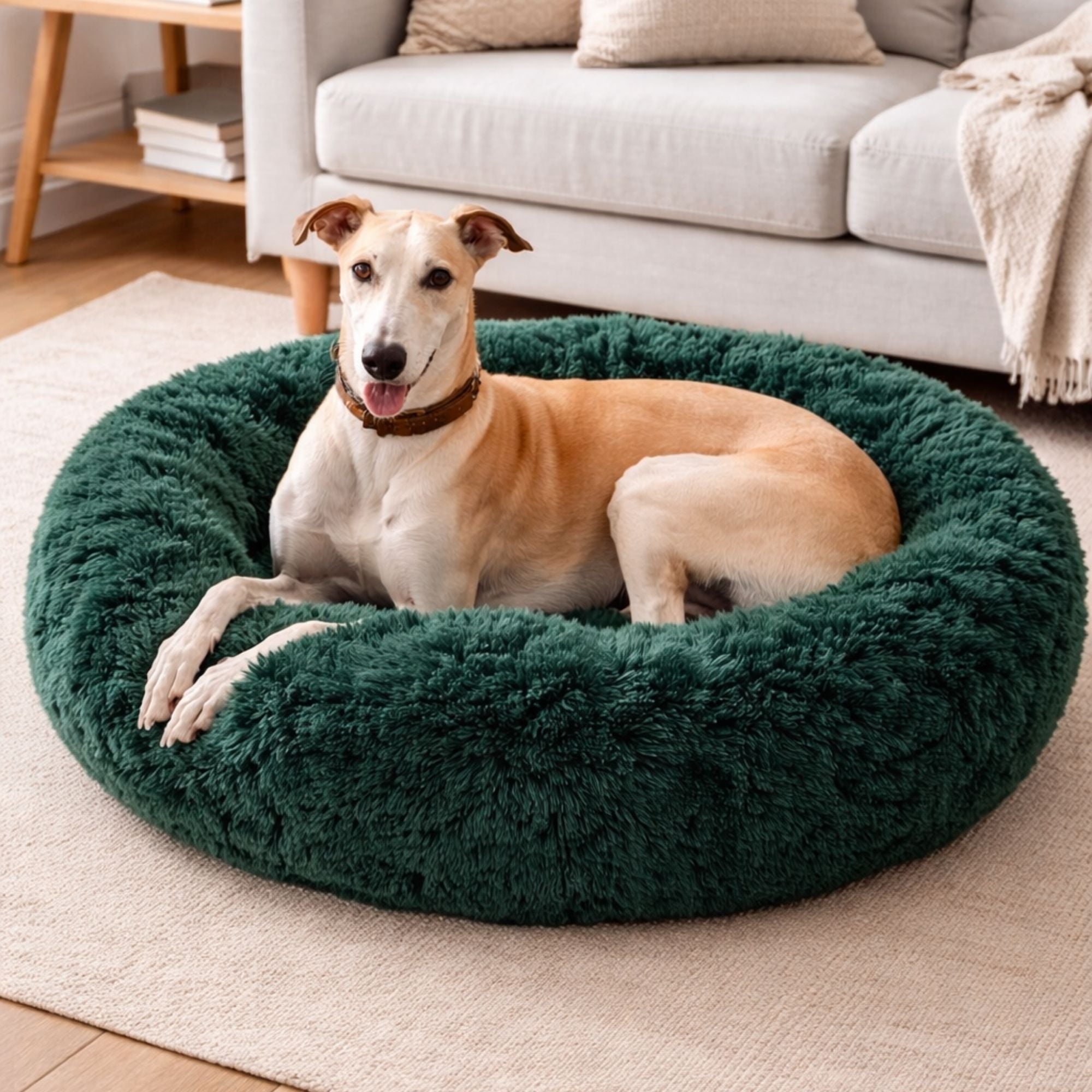 Plyšový pelíšek pro psy chart v interiéru, lahvově zelená, moderní styl