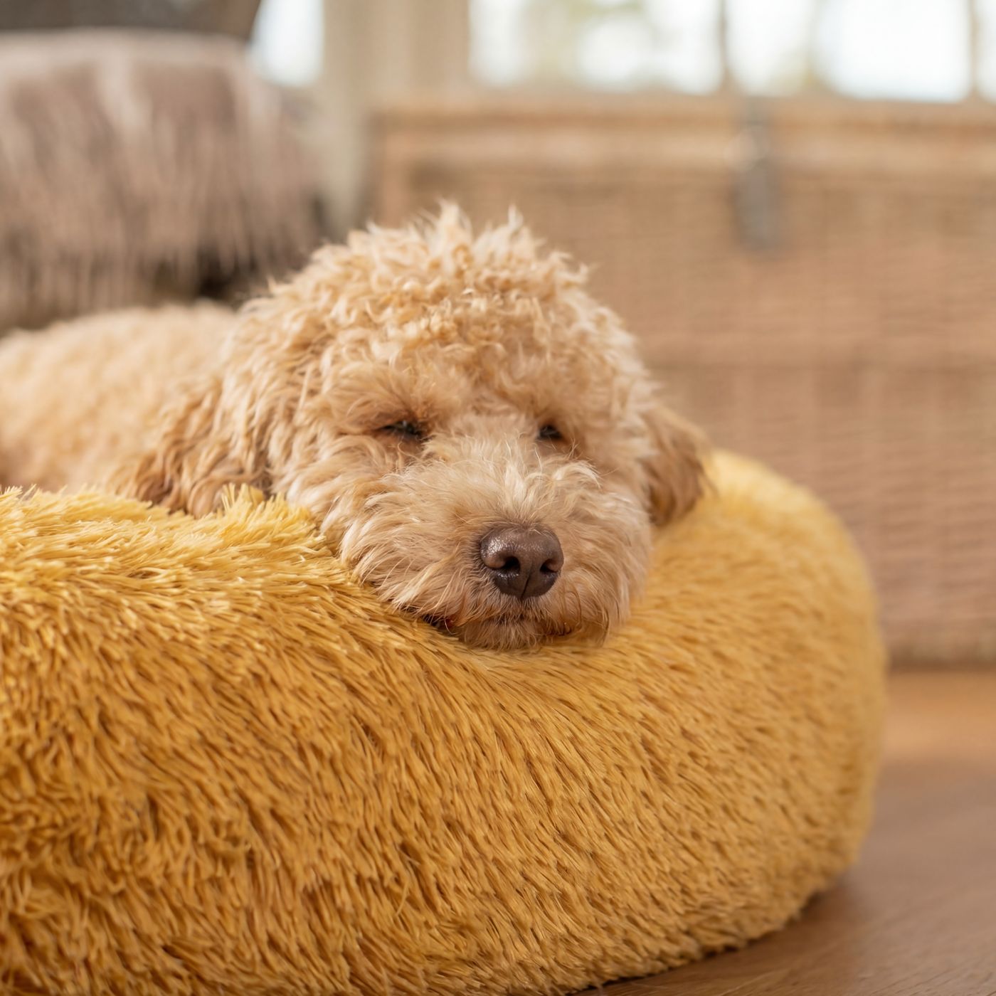 Pelíšek pro psa OBLÁČEK PREMIUM Medový