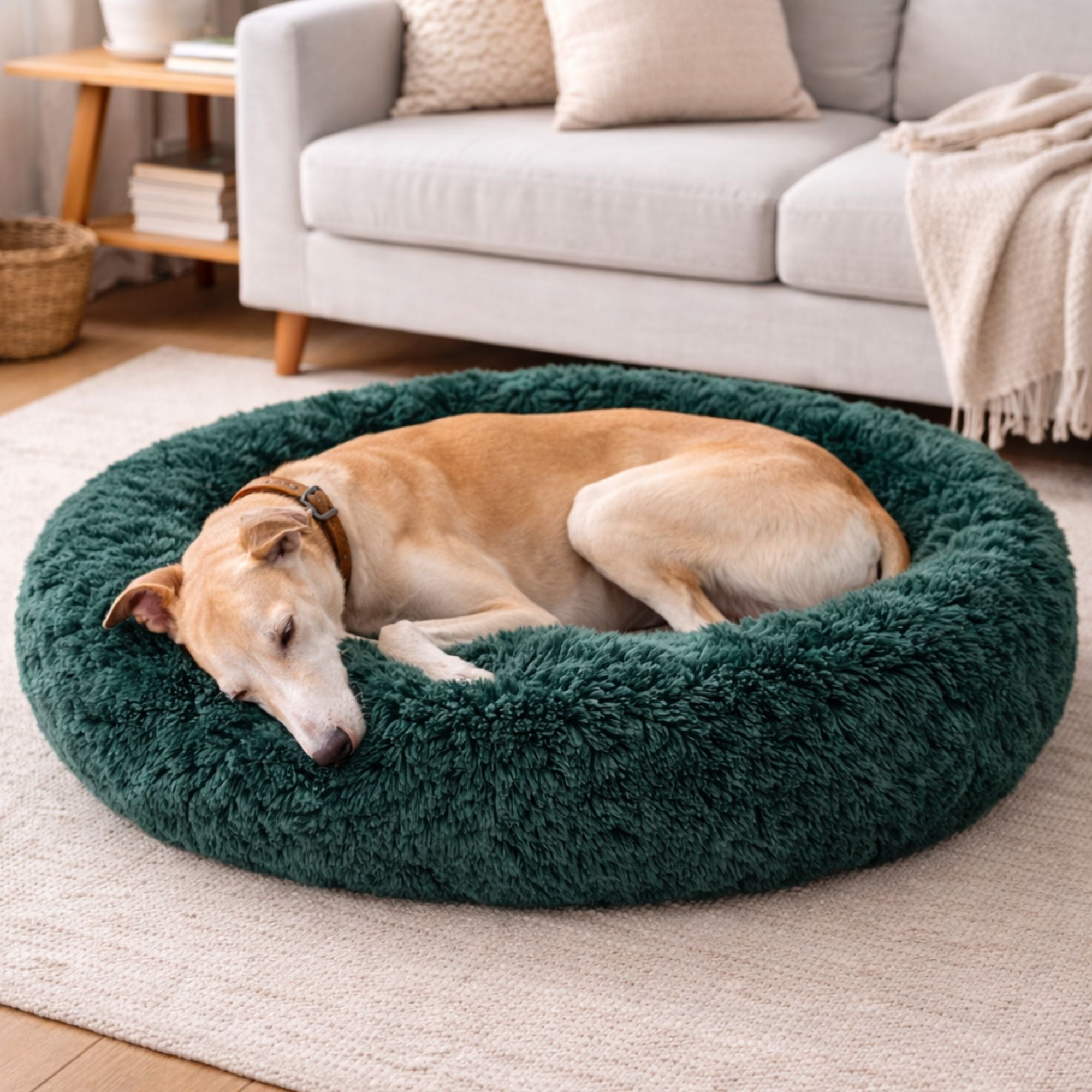 Prémiový plyšový pelíšek pro velké psy v lahvově zelené barvě, vysoká nosnost a komfort